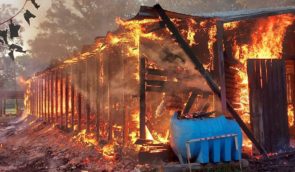 Росіяни обстріляли “Фельдман екопарк”, там згоріла стайня і постраждали двоє працівників