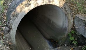 Еколог каже, що у Криму немає системи стримування фекалій у каналізаційній мережі
