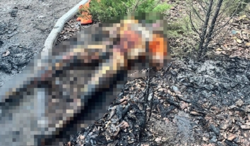 Russians killed two civilians in attack on residential area in Pokrovsk, Donetsk region