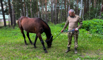 На Чернігівщині поранених військових допомагають реабілітувати коні