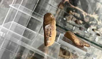 В окупованому Херсонесі влаштували виставку викрадених з Мелітопольщини артефактів