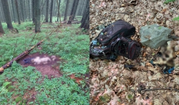 У Карпатах знайшли рештки невідомої людини та чоловіка, якого штрафували за спробу перетнути кордон 