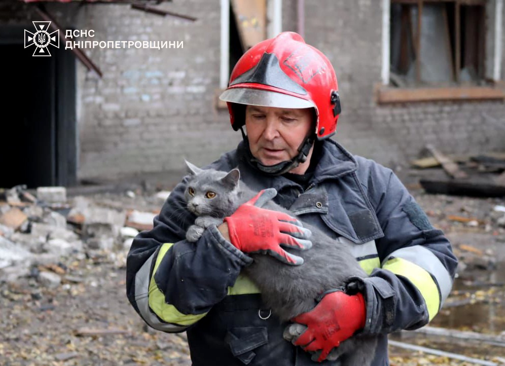 A firefighter wearing a red helmet and protective gear with yellow reflective stripes cradles a rescued gray cat at a damaged building site with debris visible in the background. The State Emergency Service of Dnipropetrovsk region logo appears in the top left corner.