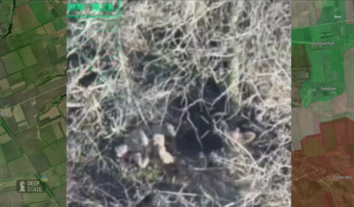 Прокурори розпочали розслідування за фактом розстрілу росіянами українських військовополонених на Запорізькому напрямку