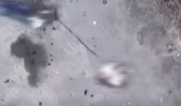 Російські військові на Харківщині вбили цивільних із собакою, які намагалися вийти з небезпеки