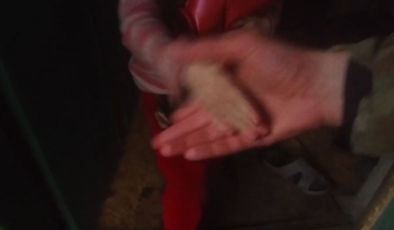 З-під російських обстрілів евакуювали родини з дітьми та літніх, які лишились без допомоги лікарів