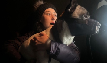 З-під російських обстрілів вивезли родини з дітьми та сім’ю, яка повернулась з евакуації забрати кішку з собакою