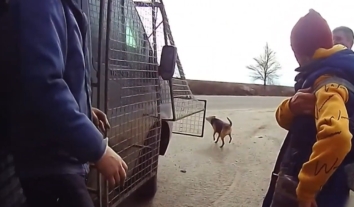 Троє мешканців прибережного Берислава вийшли з небезпеки під російськими ударами