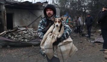 РФ атакувала притулок для собак у Запоріжжі: 13 тварин загинуло, поранення отримала працівниця закладу