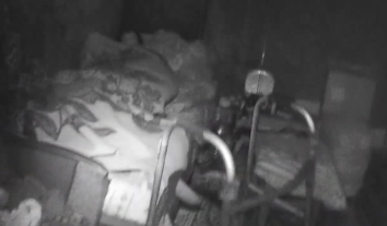 Велику групу літніх евакуювали з небезпеки поблизу фронту