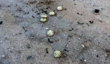 Російські війська дистанційно мінують житлові квартали Херсона: людей закликають бути обережними