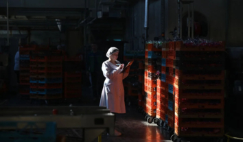 Торік більше як третину нових кампаній в Україні очолили жінки