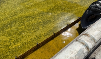 Після російського удару на Одещині у море розлилась олія