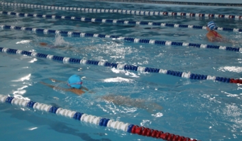 Уряд пропонує зробити спортивні клуби громадськими організаціями: що це змінить?