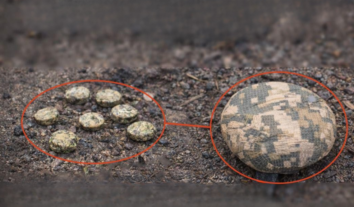 У Херсоні зростає дистанційне мінування житлових кварталів: російські війська застосовують “пелюстки” та “пряник”