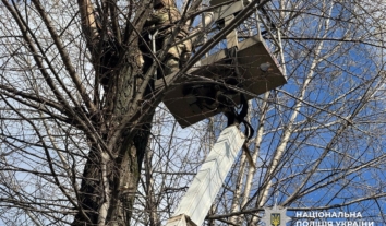 У Сумах в парку на дереві знайшли російський дрон, що не вибухнув