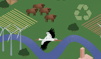 Екоцид і права людини: як війна РФ трансформувала екологічний рух України – результати дослідження