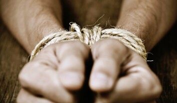 About 7,000 prisoners of war and up to 20,000 civilians are currently in Russian captivity – deputy speaker of the Verkhovna Rada About 7,000 prisoners of war and up to 20,000 civilians are currently in Russian captivity – deputy speaker of the Verkhovna Rada
