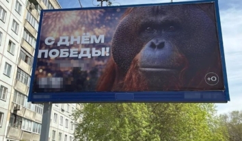 У Новосибірську прокуратура перевіряє зоопарк через банер до 9 травня з орангутаном