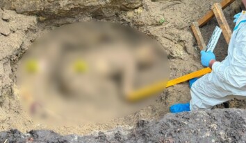 За підозрою у вбивстві двох братів на Київщині затримали військових та колишнього командира 155-ї бригади