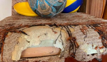 Батьки дітей із Вишневого вимагають перевірити умови в таборі “Артек” на Закарпатті