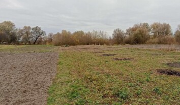 У Запорізькій області окупанти безплатно роздаватимуть земельні ділянки учасникам війни проти України