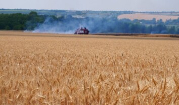 На Запоріжжі російські обстріли знищили понад 1850 гектарів посівів