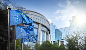 Постраждалі від сексуального насильства в дитинстві зможуть звертатися до поліції щонайменше до 50 років: ЄС оновив директиву